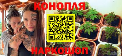 крисы Севастополь