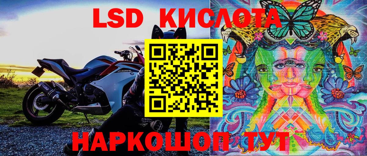Гатчина  Наркотические марки  Вход с VPN  Наркотические марки 1,5мг  Наркотические марки 1,5мг 