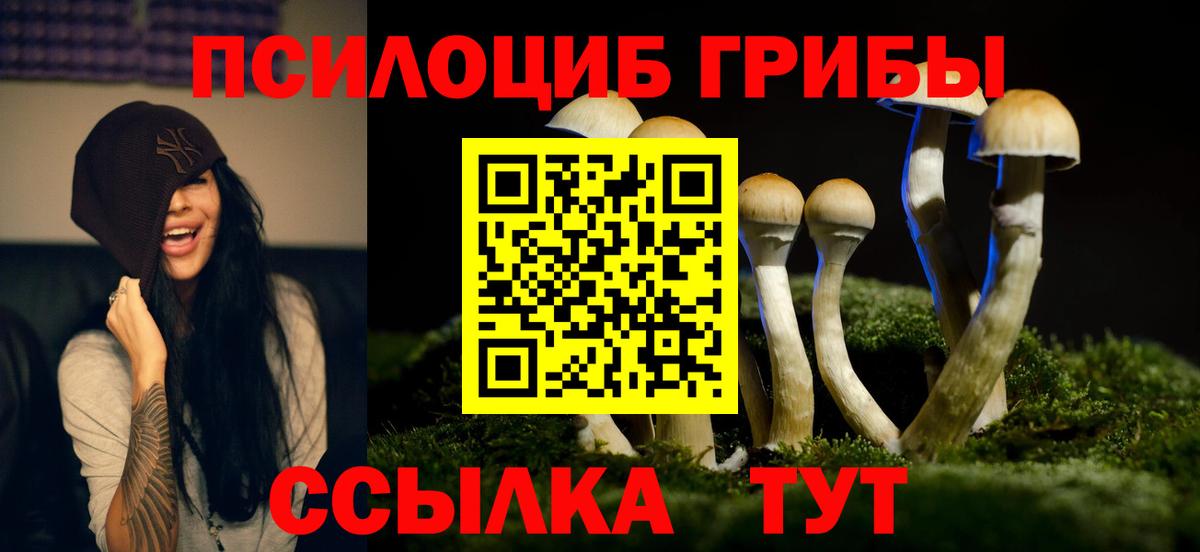 Галлюциногенные грибы Cubensis Гатчина